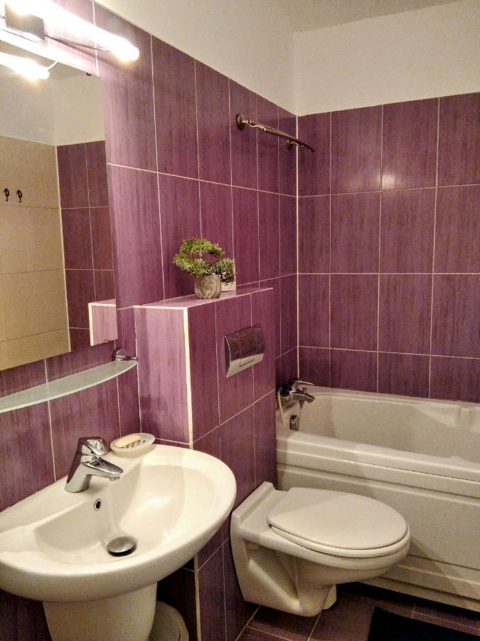 Lovely Central Apartment Braszów Zewnętrze zdjęcie